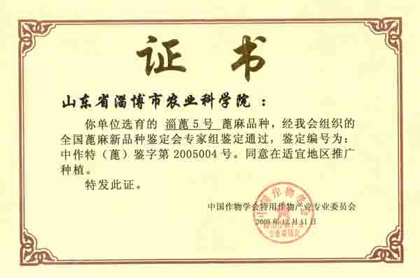 Assay certificate of Zibocastor No.5