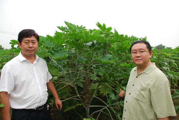 Researcher Wang Guangming and Mr. Jack Li,chairman of       ...