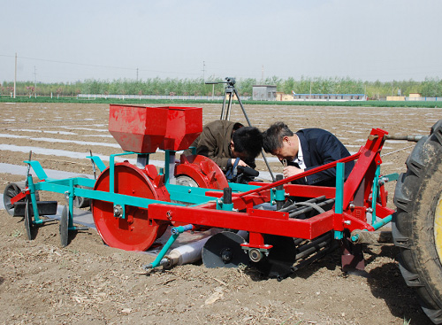All-in-one machine of castor plastic mulching, fertilizing a...