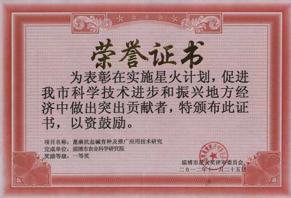 Nov.2012, the first prize of Spark Award of Zibo City