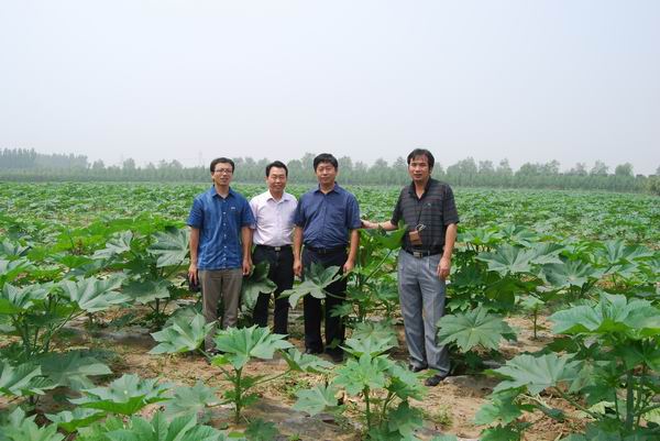 Mr.Li Changzhu, president of Hunan Academy of Forestry and M...