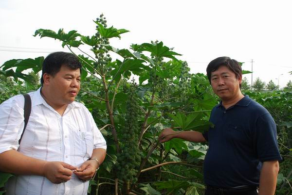 Mr.Zhang Yufa from Malaysia International Investment Co.and ...